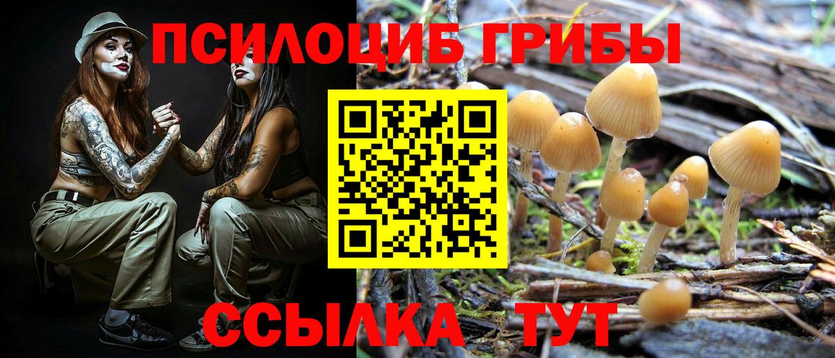 Псилоцибиновые грибы мицелий Санкт-Петербург